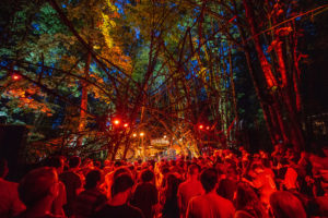 Pickathon 2024: Daily Music Schedules are Here! - Pickathon